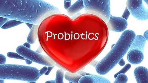 Probiotic có tác dụng gì
