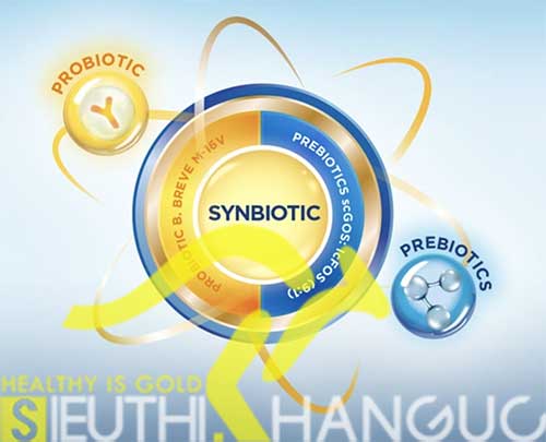 Synbiotic là gì