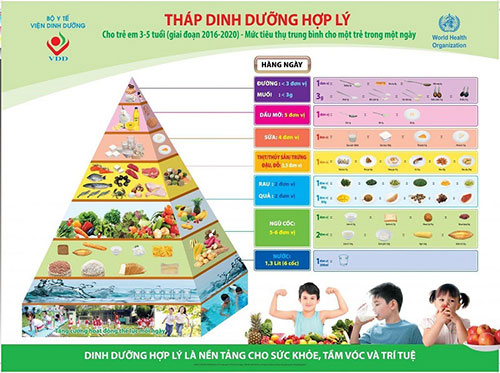 6 mô hình tháp dinh dưỡng trẻ em từ 0 đến 14 tuổi từ viện dinh dưỡng vn
