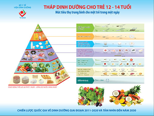 Lợi ích của việc sử dụng tháp dinh dưỡng trong chế độ ăn của trẻ em là gì?
